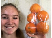 NAVELINA ORANGES 1KG Bag KATIKATI Grown